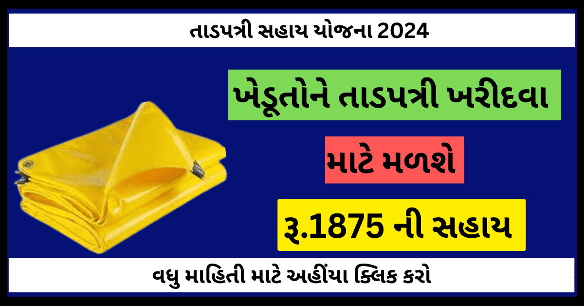 Tadpatri sahay yojana gujarat 2024